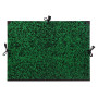 CAD Annonay cordons 52x72 Vert