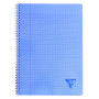 Linicolor cahier reliure intégrale 21x29,7cm 100p séyès assortiment FRESH