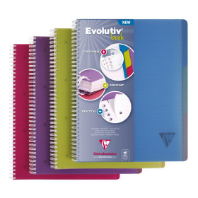 Linicolor Evolutiv'Book 22,5x29,7cm 240p ligné + marge cadré perfo. 4 trous + 3