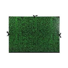 CAD Annonay Cordons 75x105 Vert