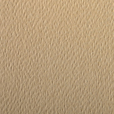 Rame Etival Color 50x65 250F 160g camel