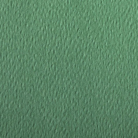 Rame Etival Color 50x65 250F 160g vert foncé