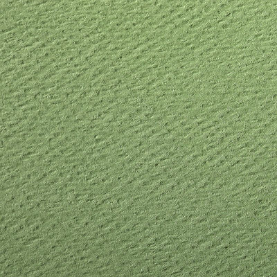 Rame Etival Color 50x65 250F 160g vert pomme