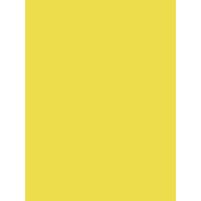 Paquet 25F Affiche peinte 60x80cm sous film jaune citron