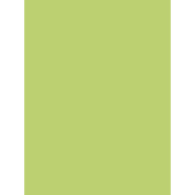 Paquet 25F Affiche peinte 60x80cm sous film vert pomme