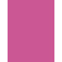 Paquet 25F Affiche peinte 60x80cm sous film fuchsia