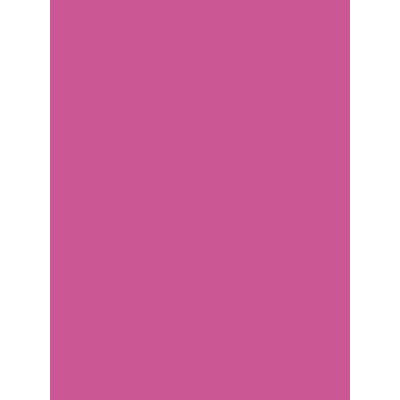 Paquet 25F Affiche peinte 60x80cm sous film fuchsia