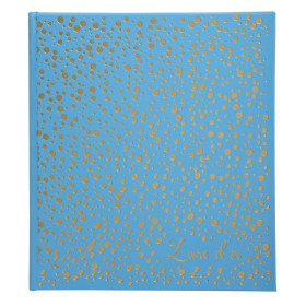 Livre d'or 140p or 21x19 Plum turquoise