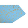 Livre d'or 140p or 21x19 Plum turquoise