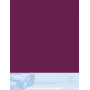 Pastelmat contrecollé  70x100 5F Lie de vin