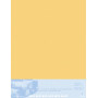 Pastelmat contrecollé  70x100 5F Bouton d'or