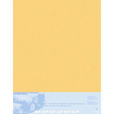 Pastelmat contrecollé  70x100 5F Bouton d'or