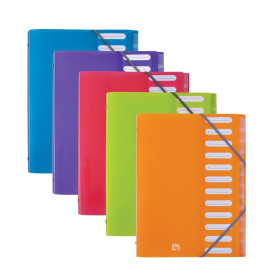 TRIEUR OXFORD SCHOOL LIFE A4 12P PP TRANSLUCIDE AST