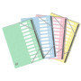 TRIEUR AGRAPHE OXFORD TOP FILE + A4 12 POS. ASSORTI PASTEL