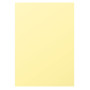Etui 50F Pollen 210x297 chamois 120g