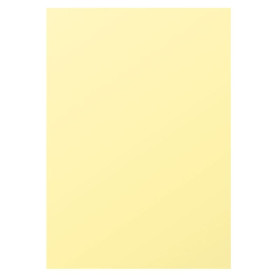 Etui 50F Pollen 210x297 chamois 120g