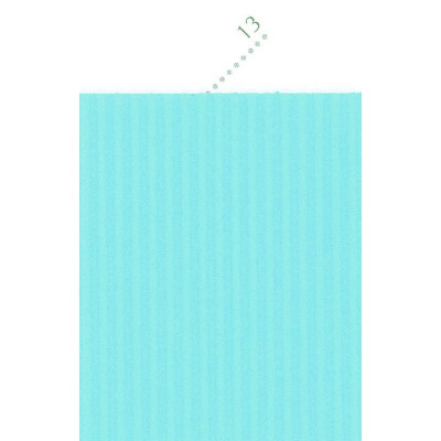 Rouleau Ondulor Maxi 2,00x0,70m bleu ciel