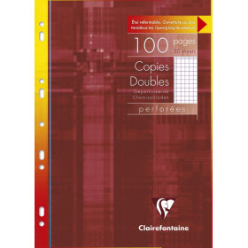 Copies doubles perf. s/étui 21x29,7cm 100p Q.5x5 + marge