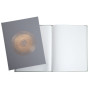 Livre d'or 100p or 27x22cm Ellipse gris
