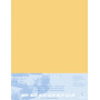 Pastelmat contrecollé  50x70 5F Bouton d'or