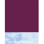 Pastelmat contrecollé  50x70 5F Lie de vin