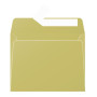 Paquet de 20 enveloppes Pollen 90x140 or