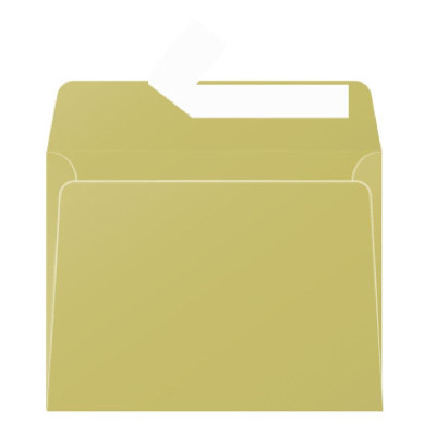 Paquet de 20 enveloppes Pollen 90x140 or