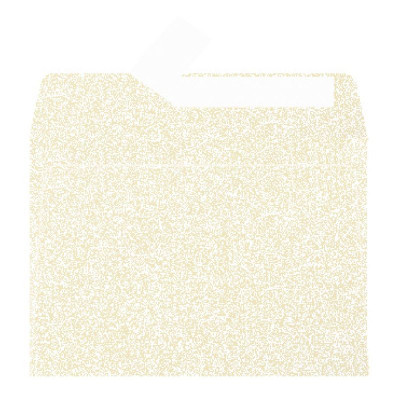 Paquet de 20 enveloppes Pollen 114x162 ivoire irisé