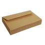 Paquet de 20 enveloppes Pollen 90x140 or