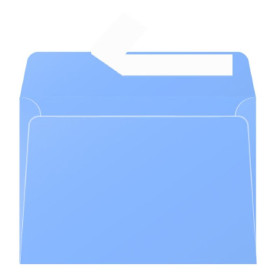 Paquet de 20 enveloppes Pollen 114x162 myosotis