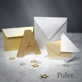 Paquet de 20 enveloppes Pollen 75x100 argent