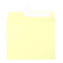 Paquet de 20 enveloppes Pollen 90x140 canari