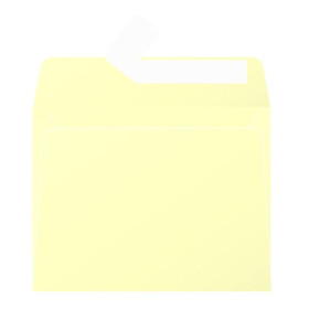 Paquet de 20 enveloppes Pollen 90x140 canari