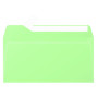 Paquet de 20 enveloppes Pollen 110x220 vert