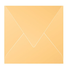 Paquet de 20 enveloppes Pollen 165x165 caramel