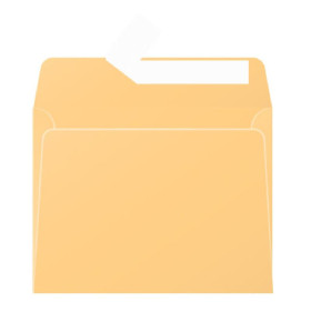 Paquet de 20 enveloppes  Pollen 90x140 caramel