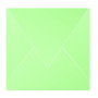 Paquet de 20 enveloppes Pollen 165x165 vert