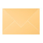Paquet de 20 enveloppes Pollen 162x229 caramel