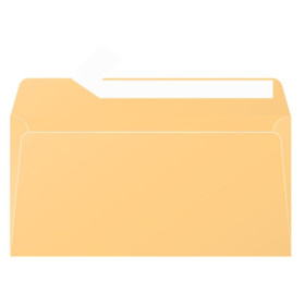 Paquet de 20 enveloppes Pollen 110x220 caramel