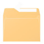 Paquet de 20 enveloppes Pollen 114x162 caramel