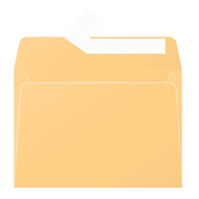 Paquet de 20 enveloppes Pollen 114x162 caramel