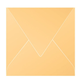Paquet de 20 enveloppes Pollen 140x140 caramel