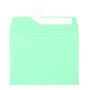 Paquet de 20 enveloppes Pollen 90x140 vert jade