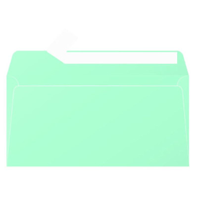 Paquet de 20 enveloppes Pollen 110x220 vert jade