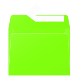 Paquet de 20 enveloppes  Pollen 90x140 vert menthe