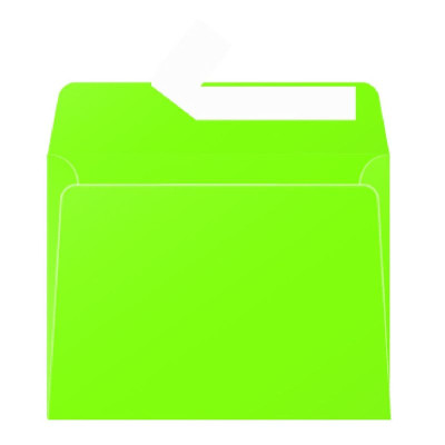 Paquet de 20 enveloppes  Pollen 90x140 vert menthe