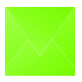 Paquet de 20 enveloppes Pollen 165x165 vert menthe