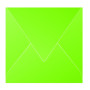 Paquet de 20 enveloppes Pollen 165x165 vert menthe