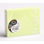 Paquet de 20 enveloppes Pollen 75x100 vert bourgeon