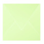 Paquet de 20 enveloppes Pollen 165x165 vert bourgeon